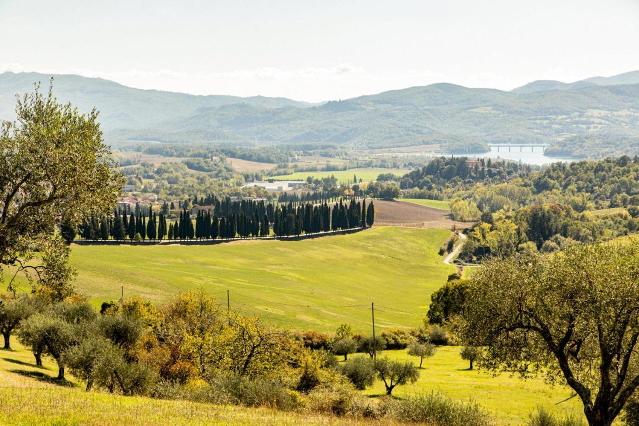 Ferienwohnung Borghetto Il Poggiolo Mugello - Affitti Brevi Italia Scarperia Exterior foto